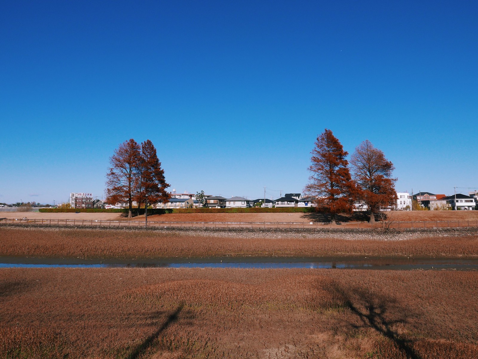 元荒川