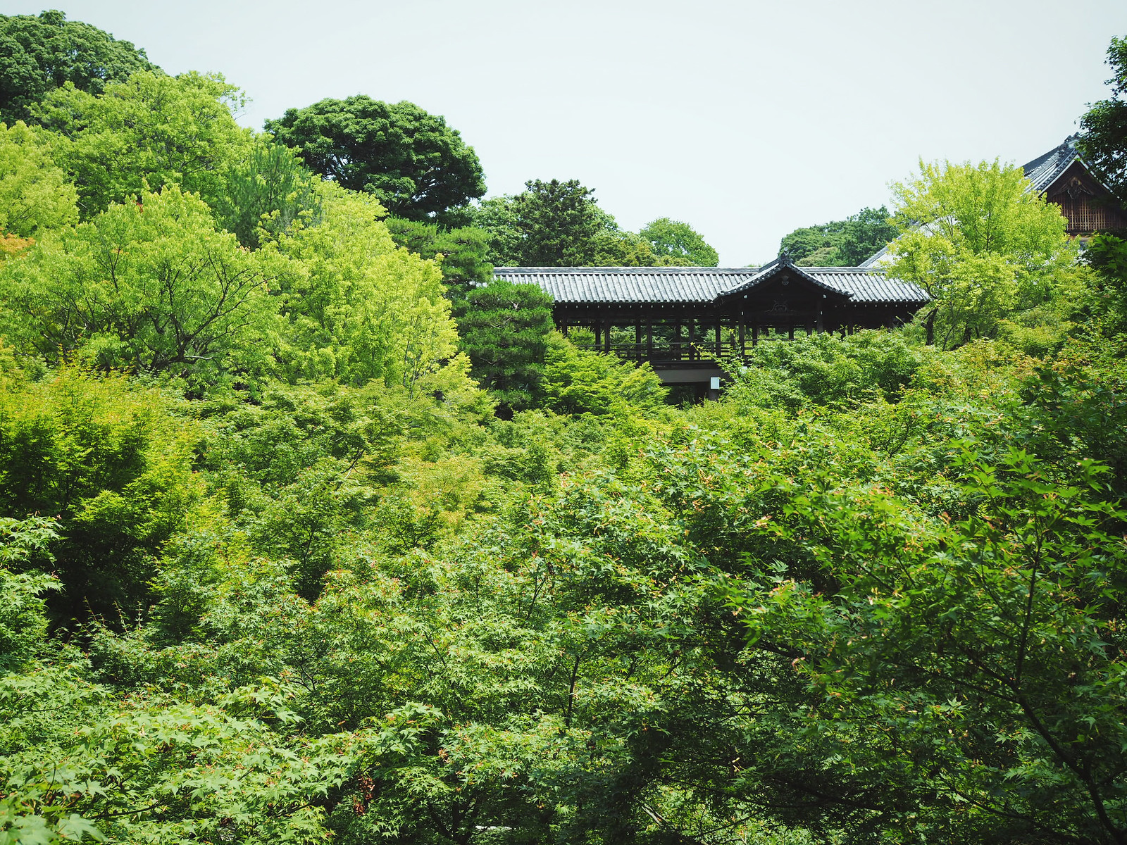 臥雲橋